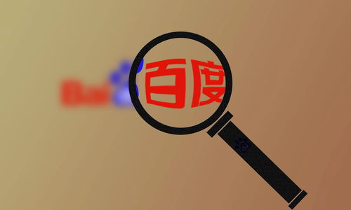 怎么搭建蜘蛛池
